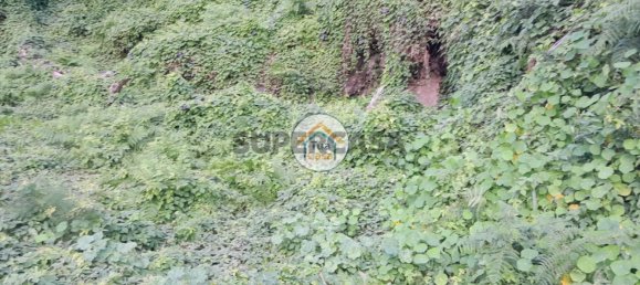 Земельный участок 2013м² в Кальета, Португалия № 155830 9