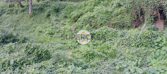 Земельный участок 2013м² в Кальета, Португалия № 155830 10