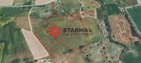  فندق في Agios Theodoros, Cyprus 28438متر مربع رقم 21523 3