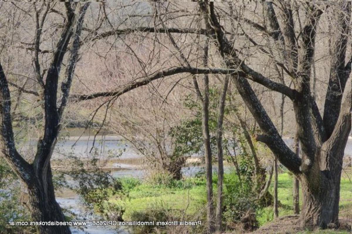 Terrain à Cordoba, Argentina No. 44669
