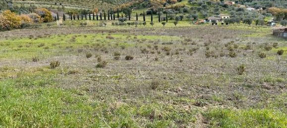 Terrain à Montecorice, Italy 22000m² No. 296169 5