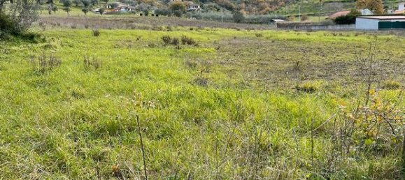 Terrain à Montecorice, Italy 22000m² No. 296169 4