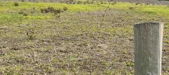 Terrain à Montecorice, Italy 22000m² No. 296169 2