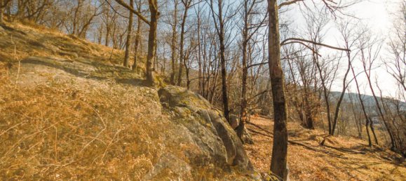 2 rooms House in Gravellona Toce, Italy No. 154238 5