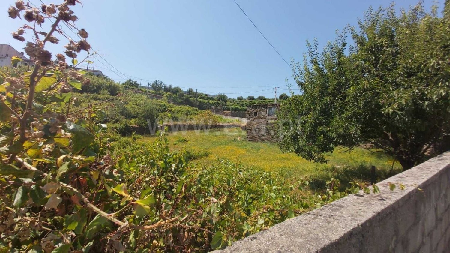 Grundstück in Peso da Regua, Portugal, Nr. 217937