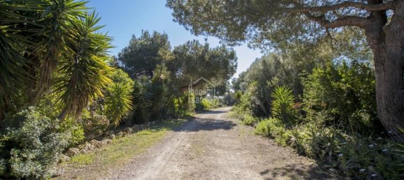 12 Schlafzimmer Villa in Es Castell, Spain, Nr. 1437 8