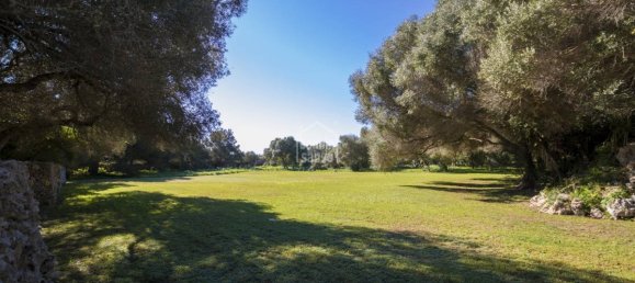 12 Schlafzimmer Villa in Es Castell, Spain, Nr. 1437 6