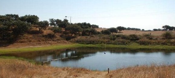  قطعة أرض في Elvas, Portugal 1570000متر مربع رقم 139675 42