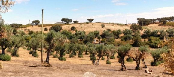  قطعة أرض في Elvas, Portugal 1570000متر مربع رقم 139675 24