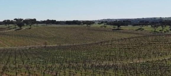  قطعة أرض في Elvas, Portugal 1570000متر مربع رقم 139675 40