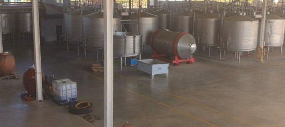  قطعة أرض في Elvas, Portugal 1570000متر مربع رقم 139675 6