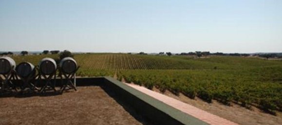  قطعة أرض في Elvas, Portugal 1570000متر مربع رقم 139675 39