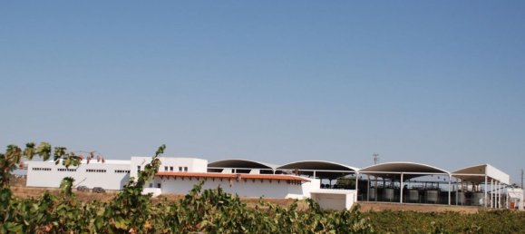  قطعة أرض في Elvas, Portugal 1570000متر مربع رقم 139675 29