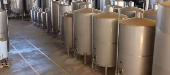  قطعة أرض في Elvas, Portugal 1570000متر مربع رقم 139675 5