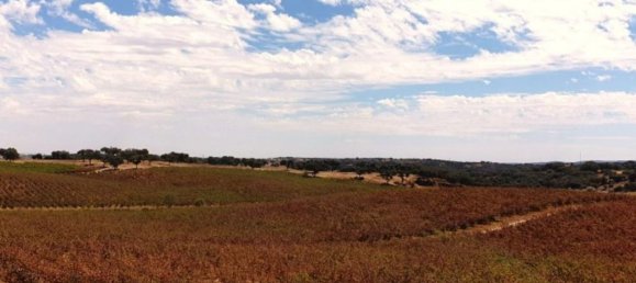  قطعة أرض في Elvas, Portugal 1570000متر مربع رقم 139675 3