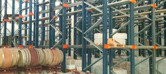  قطعة أرض في Elvas, Portugal 1570000متر مربع رقم 139675 15