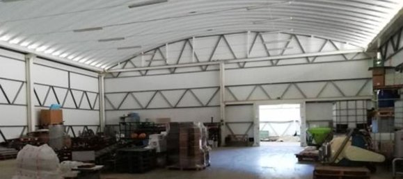  قطعة أرض في Elvas, Portugal 1570000متر مربع رقم 139675 47