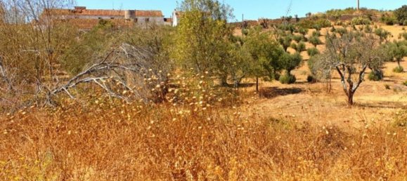  قطعة أرض في Elvas, Portugal 1570000متر مربع رقم 139675 26