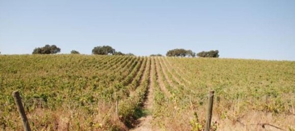  قطعة أرض في Elvas, Portugal 1570000متر مربع رقم 139675 41