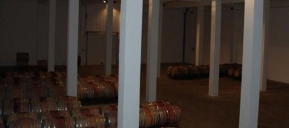  قطعة أرض في Elvas, Portugal 1570000متر مربع رقم 139675 50