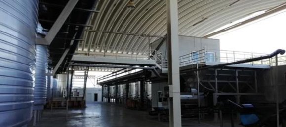  قطعة أرض في Elvas, Portugal 1570000متر مربع رقم 139675 45