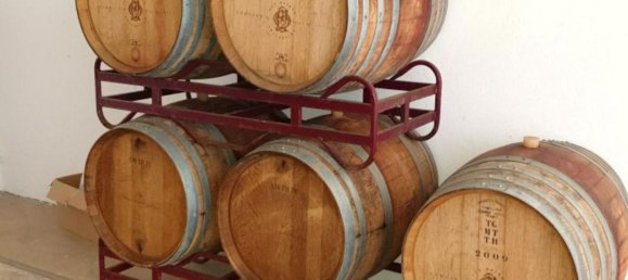  قطعة أرض في Elvas, Portugal 1570000متر مربع رقم 139675 19