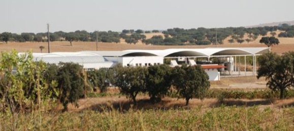  قطعة أرض في Elvas, Portugal 1570000متر مربع رقم 139675 38