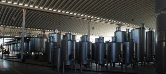  قطعة أرض في Elvas, Portugal 1570000متر مربع رقم 139675 30