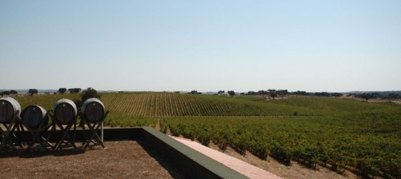  قطعة أرض في Elvas, Portugal 1570000متر مربع رقم 139675 32