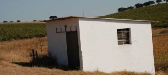  قطعة أرض في Elvas, Portugal 1570000متر مربع رقم 139675 34