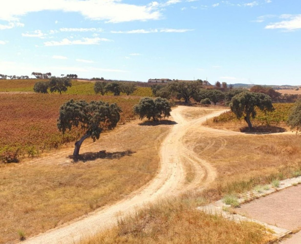  قطعة أرض في Elvas, Portugal 1570000متر مربع رقم 139675