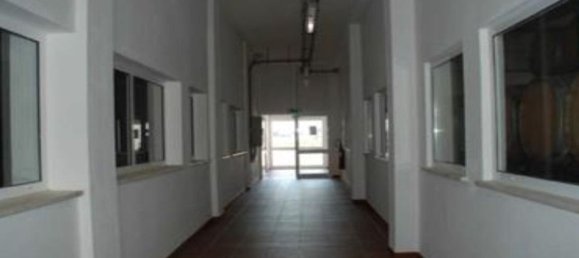  قطعة أرض في Elvas, Portugal 1570000متر مربع رقم 139675 48