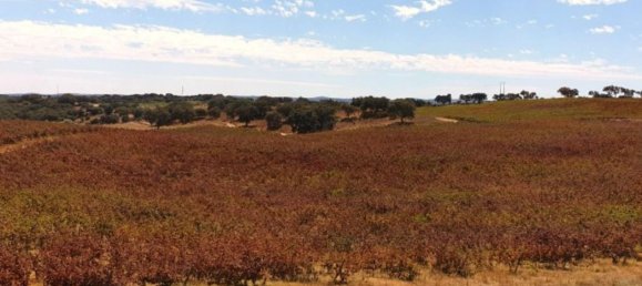  قطعة أرض في Elvas, Portugal 1570000متر مربع رقم 139675 2