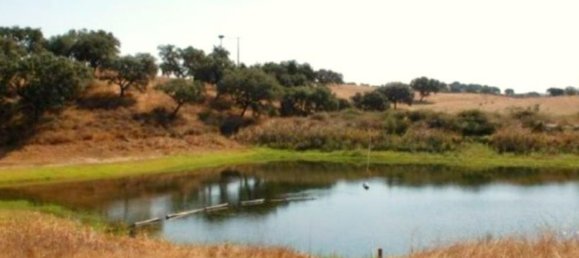  قطعة أرض في Elvas, Portugal 1570000متر مربع رقم 139675 28