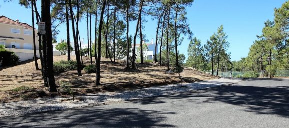 1553m² Land in Grandola, Portugal No. 131861 14