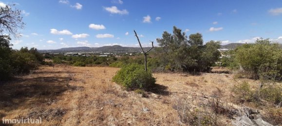 4 bedrooms House in Faro, Portugal No. 17626 25