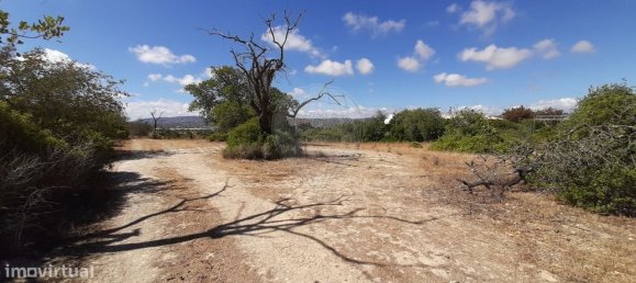 4 bedrooms House in Faro, Portugal No. 17626 24