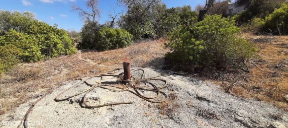 4 bedrooms House in Faro, Portugal No. 17626 13