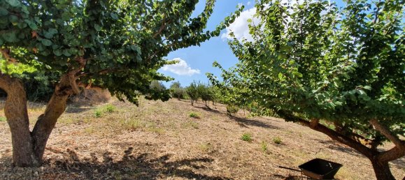 6غرفة منزل في Calatafimi-Segesta, Italy رقم 251252 19