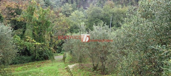 7-Zimmer Haus in Capannori, Italy, Nr. 25502 18