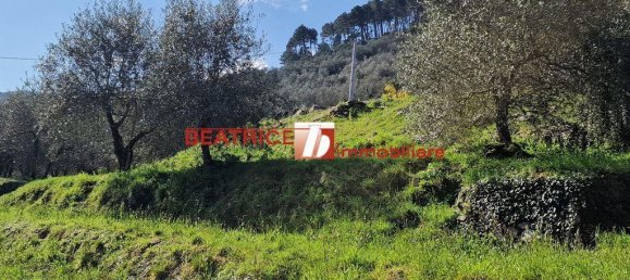 7-Zimmer Haus in Capannori, Italy, Nr. 25502 19