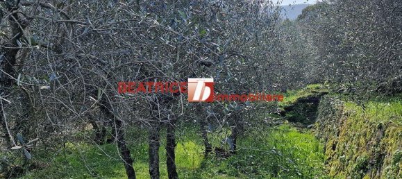 7-Zimmer Haus in Capannori, Italy, Nr. 25502 20