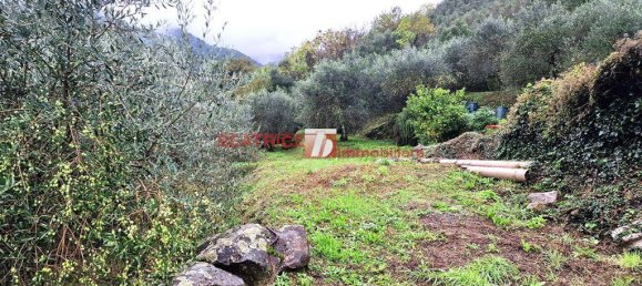 7-Zimmer Haus in Capannori, Italy, Nr. 25502 17