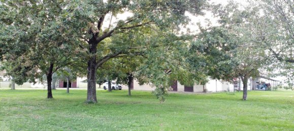 12 rooms House in Imola, Italy No. 5996 14