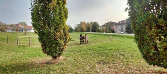 Adosado de 3 dormitorios en Saalekreis, Germany No. 15602 25