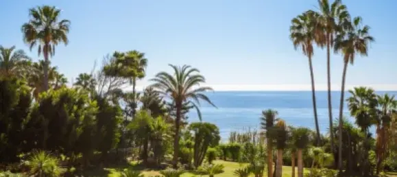 8 bedrooms Villa in Estepona, Spain No. 24203 14