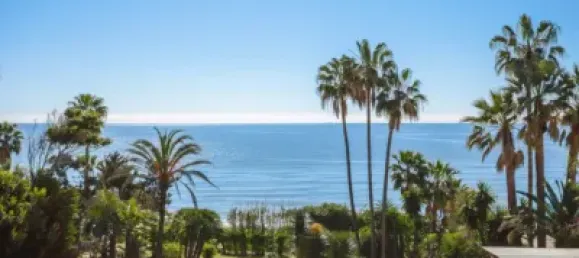 8 bedrooms Villa in Estepona, Spain No. 24203 28