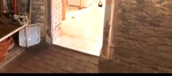 4 غرف نوم تاون هاوس في Greiz, Germany رقم 218543 14