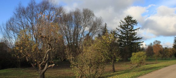 Земельный участок в Бранденбург, Германия № 83370 9