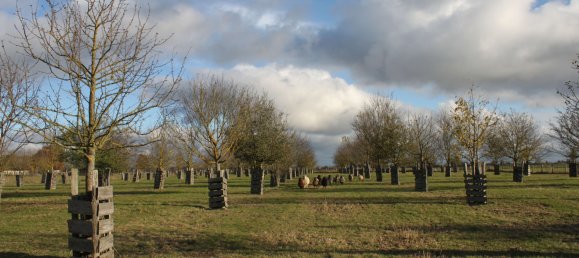 Земельный участок в Бранденбург, Германия № 83370 31